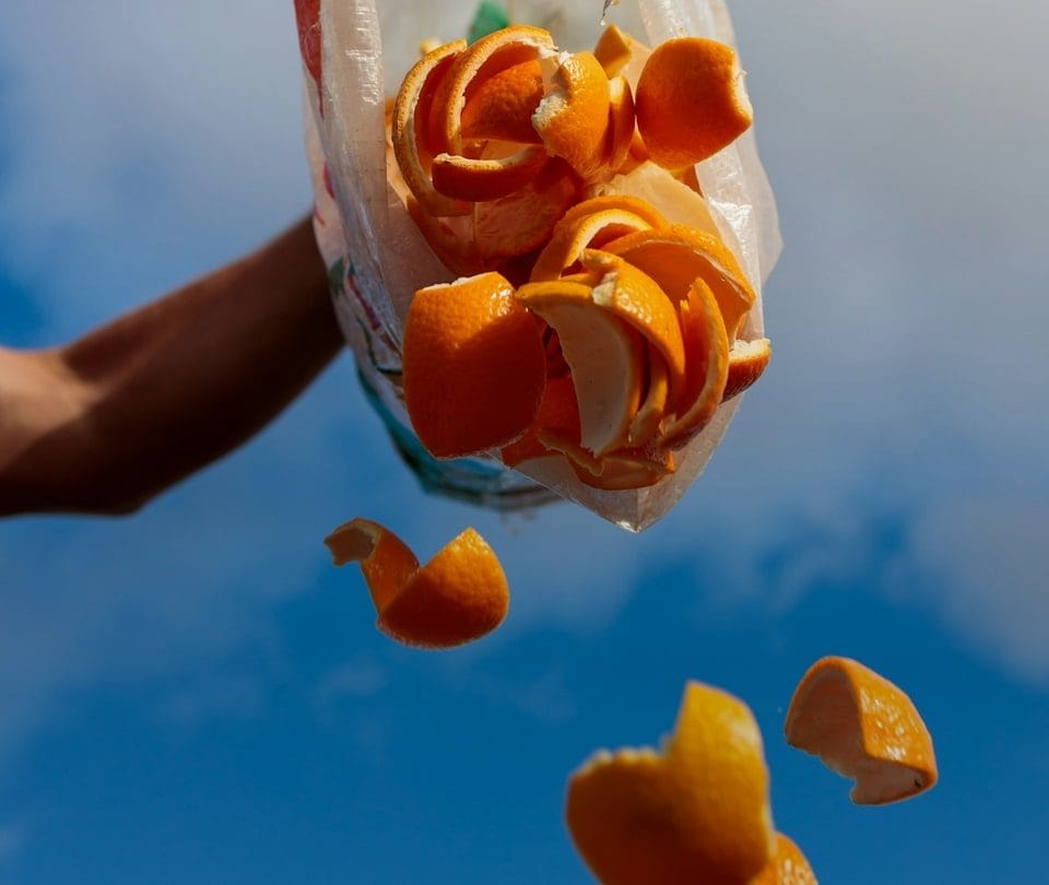 Food waste collected in bags